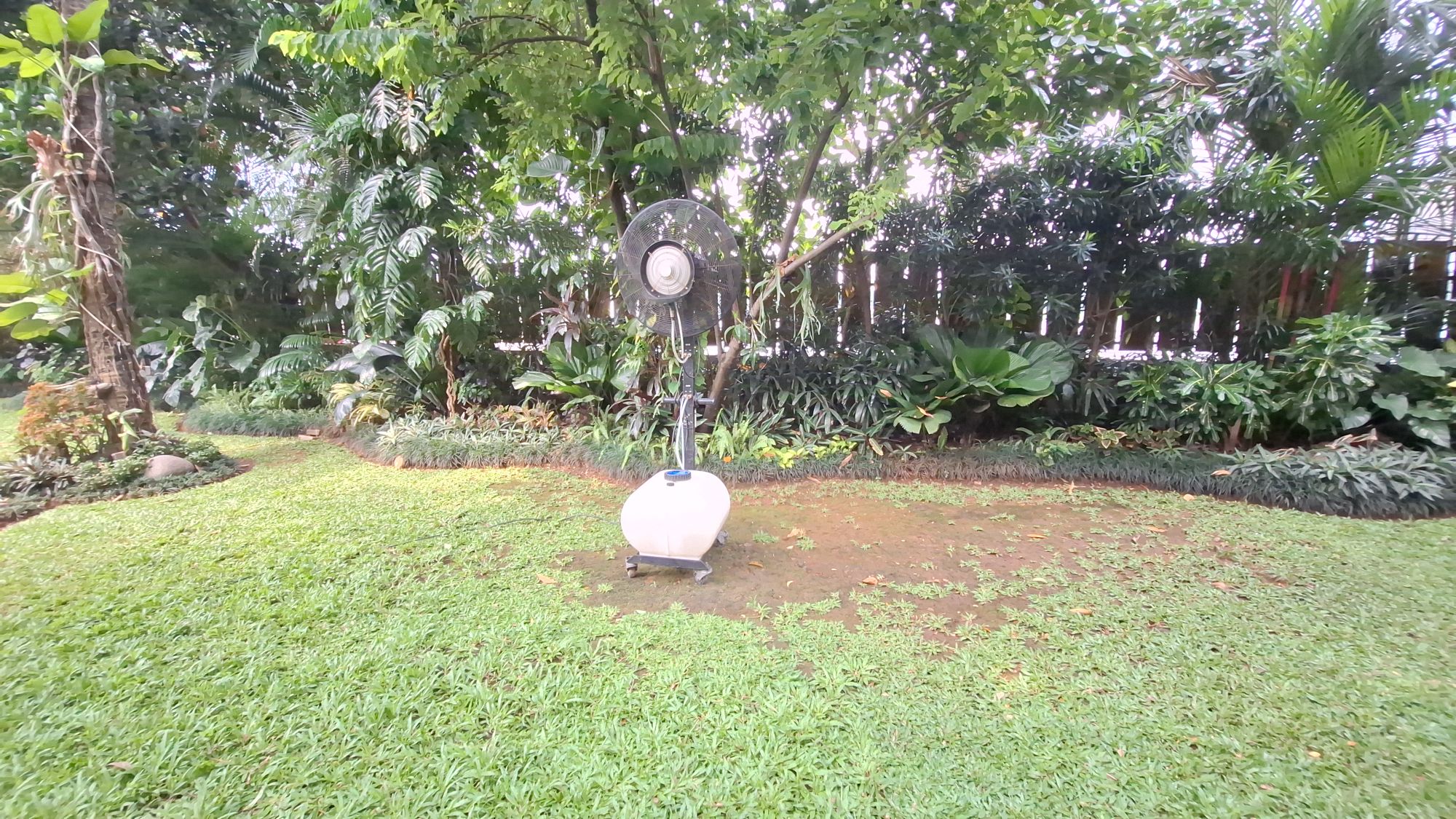 harga sewa misty fan sehari
