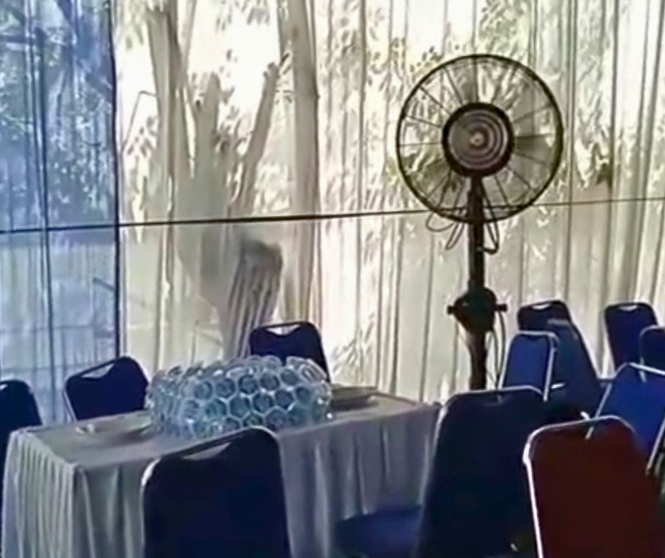 Kipas kabut dekat pelaminan pesta nikah Bekasi